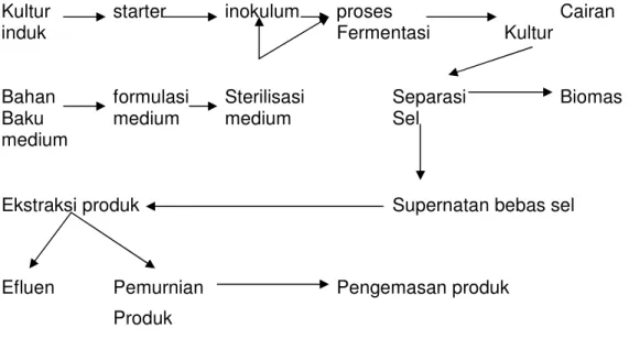 Gambar 1.1. Skema umum proses fermentasi. 