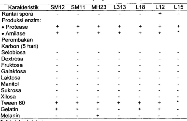 Tabel 4. Karakterisasi Aktinomisetes yang tahan terhadap R. solani  Karakteristik  SM12  SM11  MH23  L313  L18  L12  L15  Rantai spora  - - - - - +   -Produksi enzim:  • Protease  +  +  +  +  +  +  +  • Amilase  +  +  +  +  +  +  *  Perombakan  Karbon (5 h