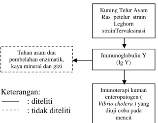 Tabel  1.  Pola  titer  Antibodi  (Ig    Y    anti  Vibrio  cholera  )  pada  serum  ayam  tervaksinasiantigen Vibrio cholerae