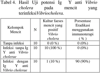 Tabel  3.  Perbandingan  Pola  Titer  Antibodi  (Ig    Y  anti  vibrio  cholerae)  pada  serumdan  kuning  telur  ayam  pada  setiap  kelompok  perlakuan setelah vaksinasi ke III