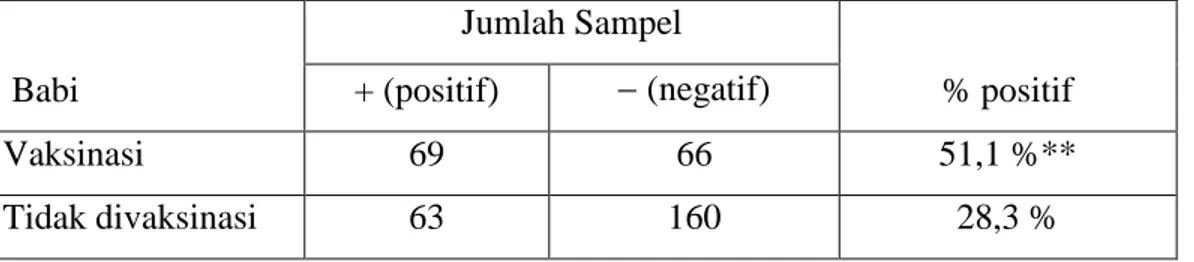 Tabel 3. Seroprevalensi antibodi antara sampel babi yang divaksinasi dengan sampel babi yang  tidak divaksinasi berdasarkan umur