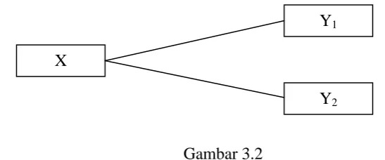 Gambar 3.2 Paradigma Ganda Dengan Dua Variabel Dependen 