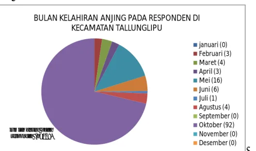 Gambar 7. Grafik bulan kelahiran anjing pada responden di Kabupaten Toraja Utara      Kecamatan Tallunglipu