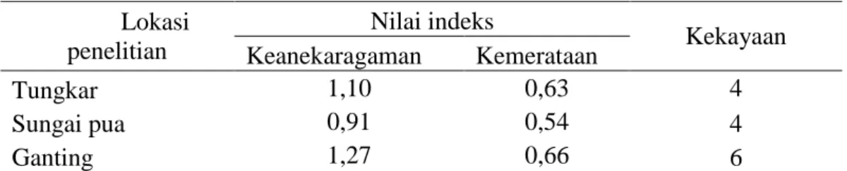 Tabel  5.  Indeks  keanekaragaman,  indeks  kemerataan  dan  kekayaan  spesies  kutu  daun  pada  ekosistem  pertanaman  cabai  di  Kenagarian  Tungkar  (Kab
