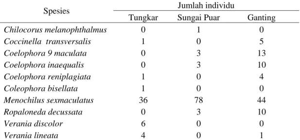 Tabel 2. Jumlah spesies dan individu Coccinellidae predator pada ekosistem  pertanaman cabai  di Kenagarian Tungkar (Kab