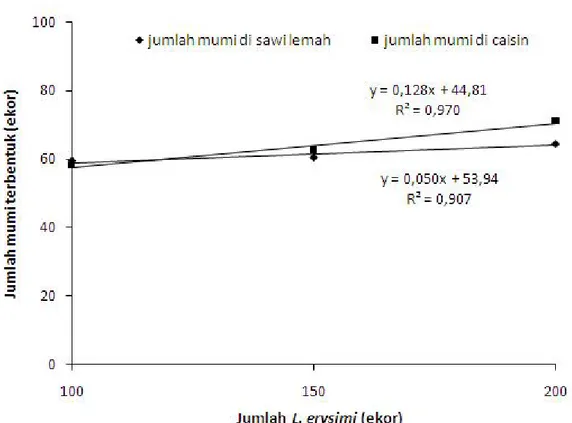 Gambar 2. Pengaruh jumlah kutudaun yang disediakan terhadap jumlah mumi yang terbentuk akibat terparasit D.