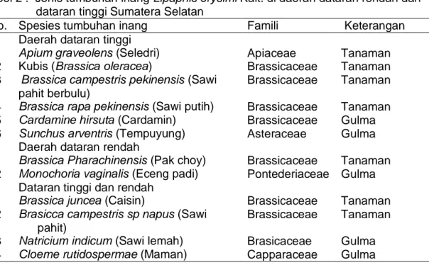 Tabel 2 .  Jenis tumbuhan inang Lipaphis erysimi Kalt. di daerah dataran rendah dan  dataran tinggi Sumatera Selatan 