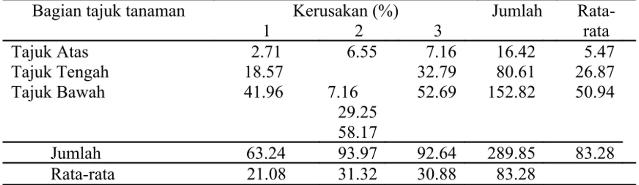 Tabel 3. Sebaran vertikal  kerusakan daun  tanaman tomat akibat serangan L. sativae Bagian tajuk tanaman Kerusakan (%)
