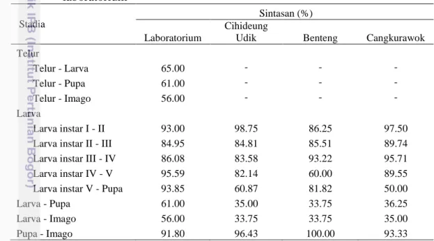 Tabel  1  Sintasan  D.  indica  pada  masing-masing  stadia  di  lapangan  dan  di          laboratorium 