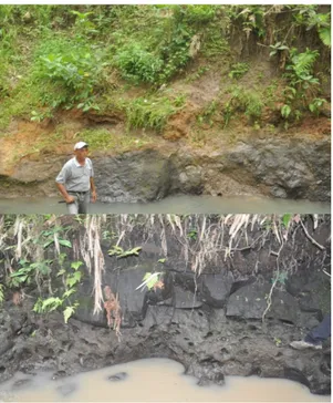 Gambar 10. Bongkah material hasil longsoran berasal dari  dinding Pegunungan Menoreh. Lokasi: sebelah selatan  Dusun Nglipoh.