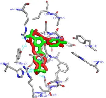 Gambar 5  Struktur tiga dimensi interaksi ligan (merah: kurkumin, hijau: Selekoksib) dengan sisi aktif enzim  COX-2