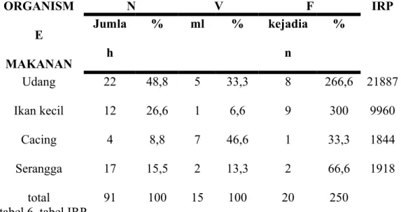 tabel 6. tabel IRP