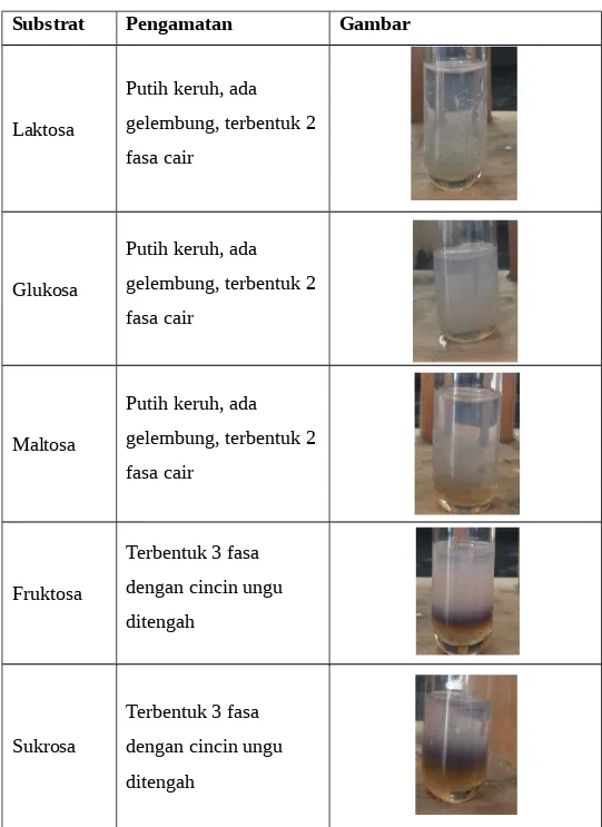 Tabel 9. Pengamatan uji Molisch pada lima sampel karbohidrat: laktosa, glukosa, maltosa, fruktosa dan sukrosa