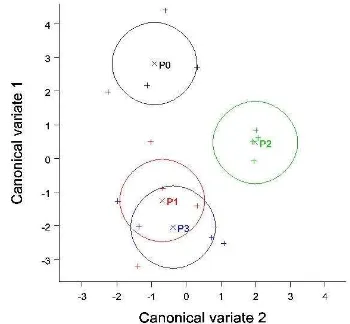 Gambar 13. Grafik Canonical Variate Analysis