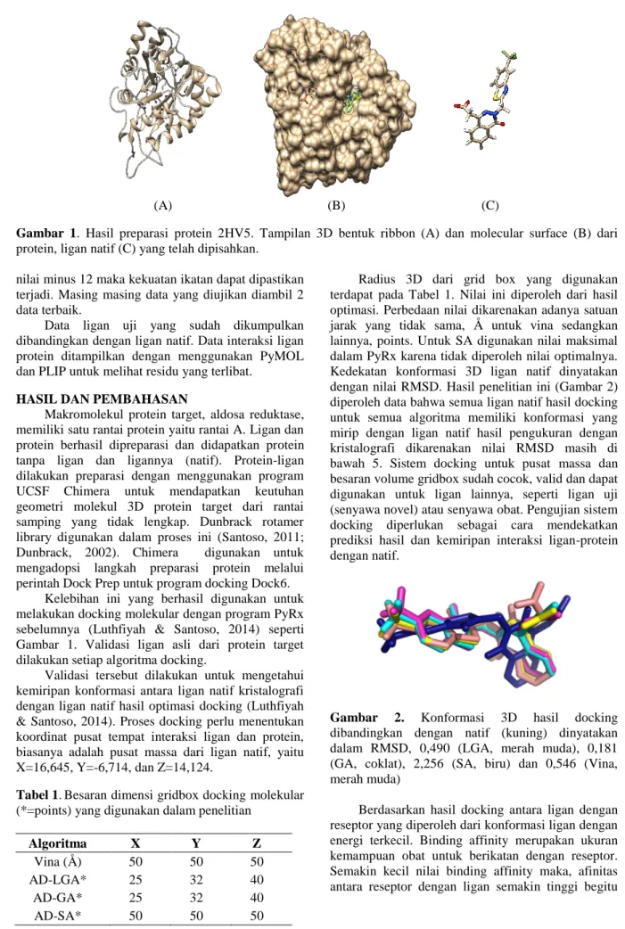 Gambar  1.  Hasil  preparasi  protein  2HV5.  Tampilan  3D  bentuk  ribbon  (A)  dan  molecular  surface  (B)  dari  protein, ligan natif (C) yang telah dipisahkan