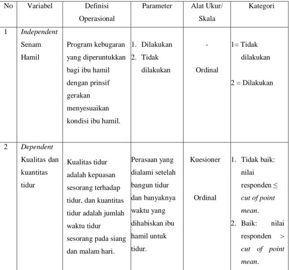 Tabel 3.1 Definisi Operasional 