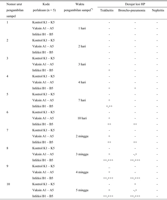 Tabel 1. Hasil pemeriksaan histopatologi pada ayam pedaging yang diinfeksi dengan isolat I-269, vaksin H-120 dan kontrol  Derajat lesi HP Nomor urut  pengambilan  sampel  Kode  perlakuan (n = 5)  Waktu 