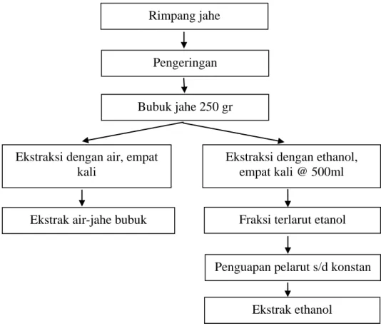 Gambar 4. Ekstraksi Jahe 