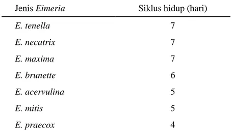 Tabel 1. Stadium endogen Eimeria berdasarkan jenisnya, yaitu sejak ookista    bersporulasi tertelan oleh ayam sampai munculnya ookista baru     dalam tinja (Trilestari, 2001) 