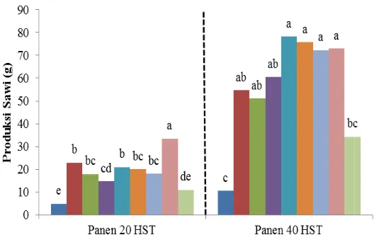 Gambar 5. Produksi sawiKeterangan: Angka yang diikudiikuti huruf yang sama pada histogram yang sama menunjuuji Duncan taraf 5%