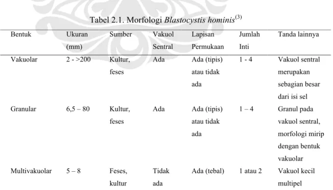 Tabel 2.1. Morfologi Blastocystis hominis (3)