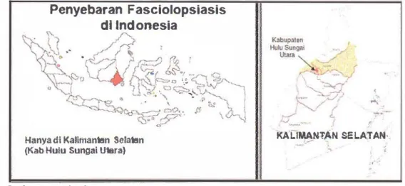 Gambar  1.  Peta Fasciolopsiasis di Indonesia 