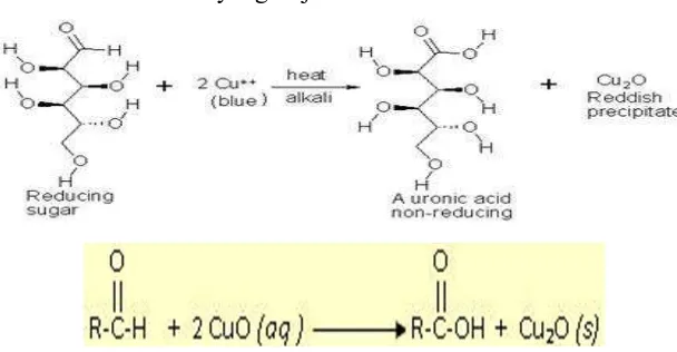 Gambar 7. Reaksi uji fehling pada senyawa gula pereduksi. 