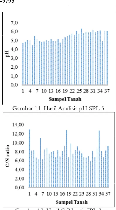 Gambar 12. Hasil C/N/N ratio SPL 3