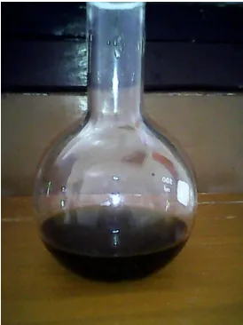 Gambar 6. Hasil ekstraksi lemak