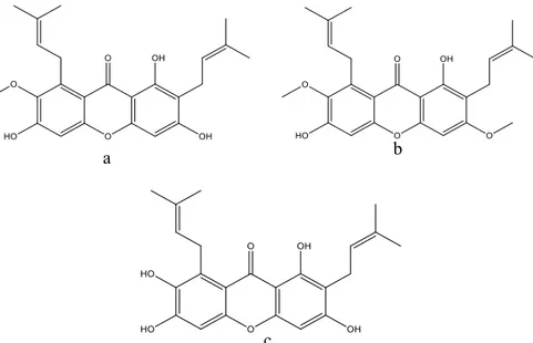 Gambar 1. Struktur Kimia α-mangostin (a), β-mangostin (b), dan γ-mangostin (c) 