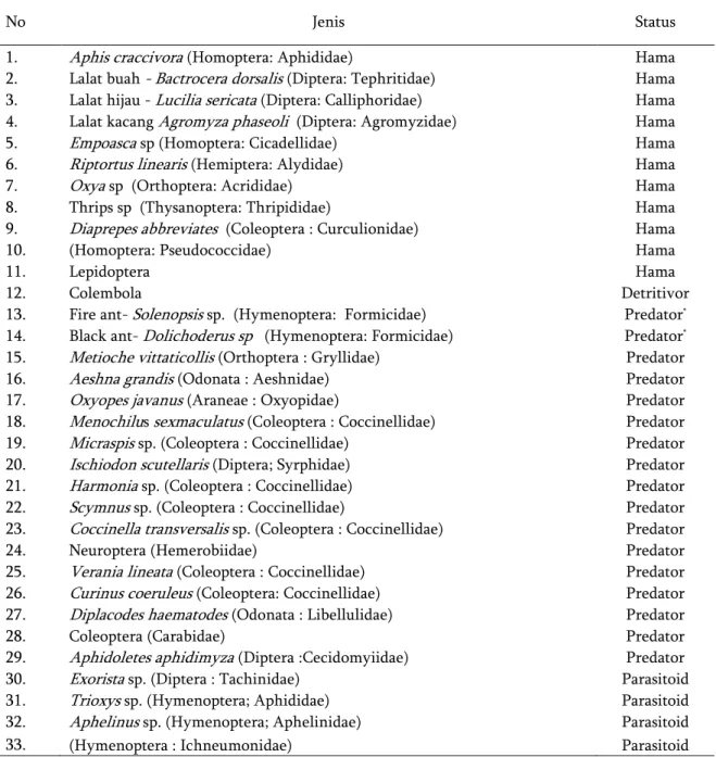 Tabel  1.    Komposisi  dan  status  serangga  yang  dikoleksi  dari  agroekosistem  kacang  panjang  di  Kecamatan  Leles  Kabupaten Garut