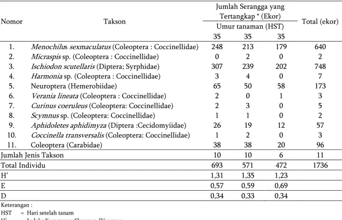 Tabel 3.    Keragaman   dan   Kelimpahan   Ahidophaga   dan   Coccidophaga  pada  Agroekosistem   Kacang    Panjang  di  Desa  Haruman  Kecamatan  Leles, Kabupaten Garut