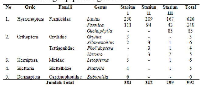Tabel 1 Kelompok serangga permukaan tanah yang  tertangkap pada tiga stasiun 