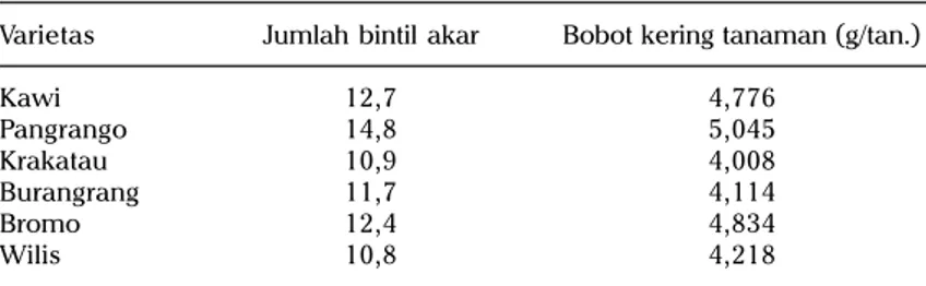 Tabel 3. Pengaruh genotipe kedelai terhadap jumlah bintil akar (42 HST) dan bobot kering tanaman pada tanah Alfisol.