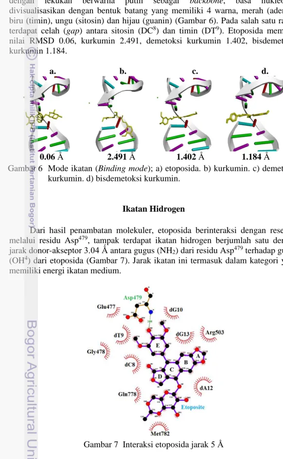 Gambar 7  Interaksi etoposida jarak 5 Ǻ 