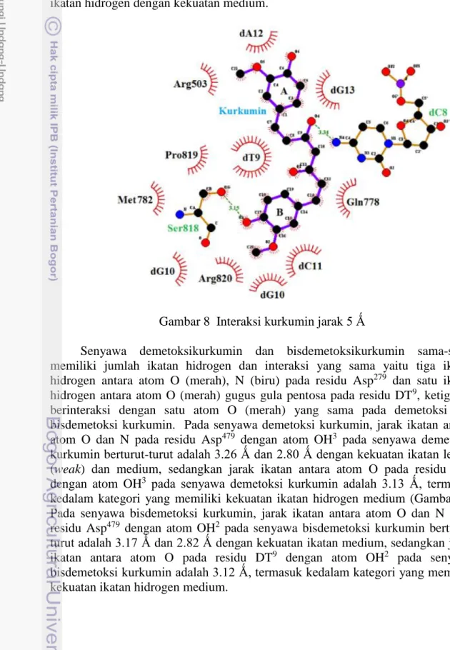 Gambar 8  Interaksi kurkumin jarak 5 Ǻ 