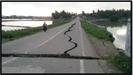 Gambar 2.7 Kerusakan Amblas  (Sumber : Google) 