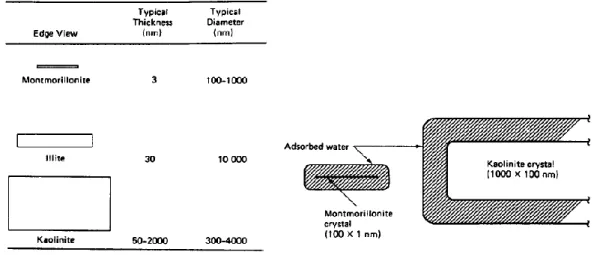 Gambar 1.6. Ukuran Mineral pada Lempung     Gambar 1.7. Ukuran lapis pengabsorpsi air 