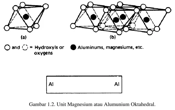 Gambar 1.2. Unit Magnesium atau Alumunium Oktahedral. 