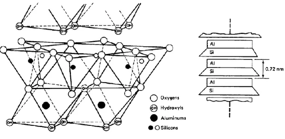 Gambar 1.3. Struktur Atom Kaolinite 