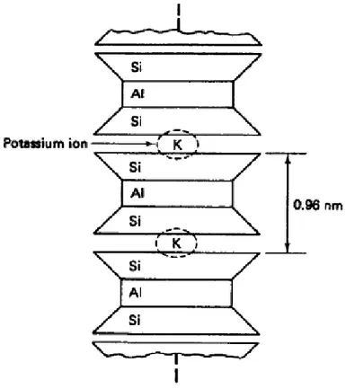 Gambar 1.5. Struktur Atom Illite 