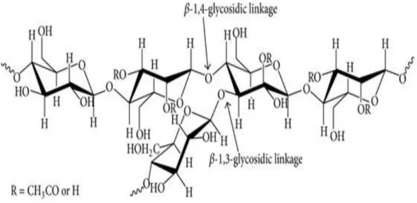 Gambar 2 Struktur Kimia Glukomanan (Lee et al., 2014)  Spektrum FTIR untuk glukomannan terdapat 