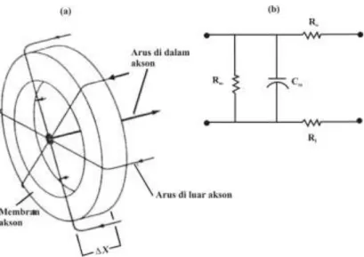 Gambar 5.8. (a) Arus-arus yang mengalir melalui suatu bagian kecil  akson.  