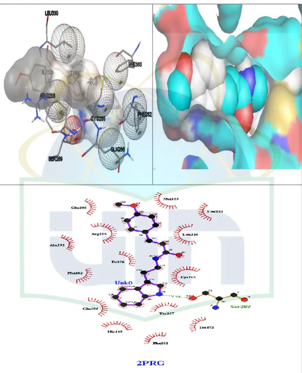 Gambar 4.3  Visualisasi interaksi p-methoxycinnamoyl triptamine dengan    molekul protein (PPARγ) 