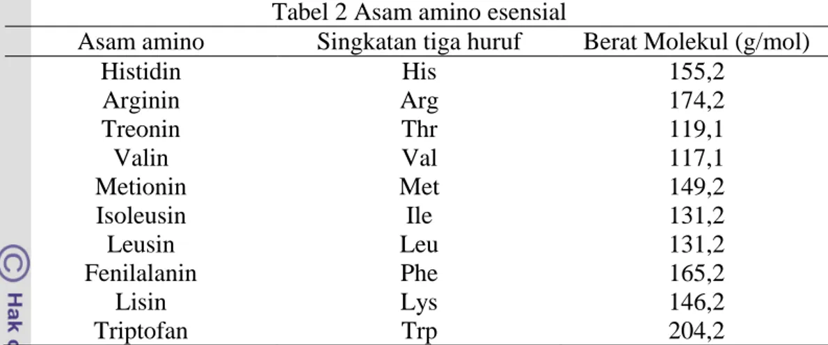 Tabel 2 Asam amino esensial 