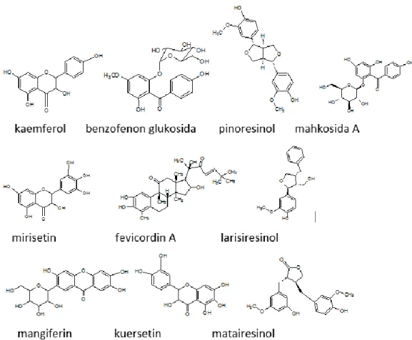 Gambar 2. Struktur 2D flavonoid buah mahkota dewa (Altaf et al., 2013). 