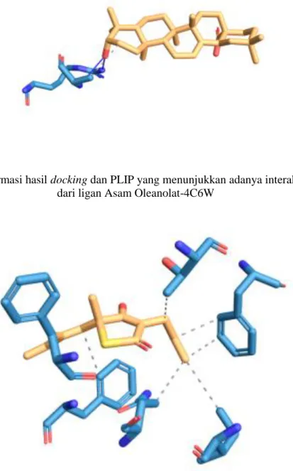 Gambar 2. Konformasi hasil docking dan PLIP yang menunjukkan adanya interaksi dan residu  dari ligan Asam Oleanolat-4C6W 