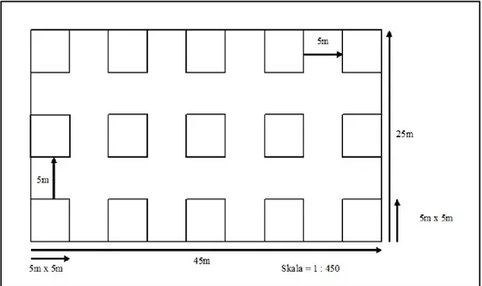 Gambar 1. Desain metode petak tunggal 