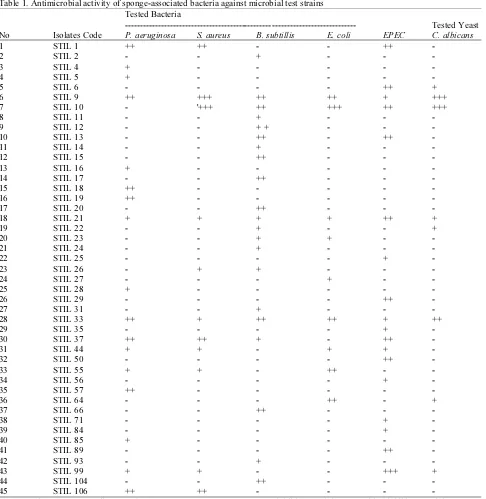 Table 1. Antimicrobial activity of sponge-associated bacteria against microbial test strains 