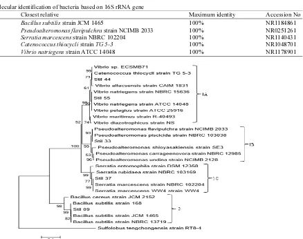 Table 5. Molecular identification of bacteria based on 16S rRNA gene 